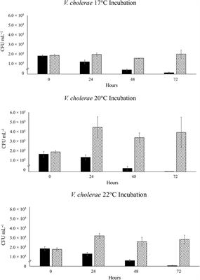 Ecological Fitness of Vibrio cholerae, Vibrio parahaemolyticus, and Vibrio vulnificus in a Small-Scale Population Dynamics Study